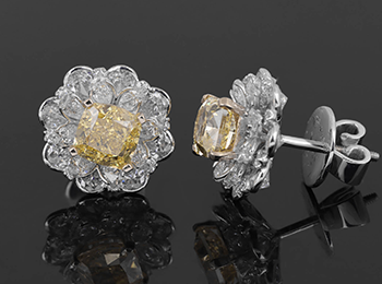 cua-hang-bong-tai-kim-cuong-tot-tphcm