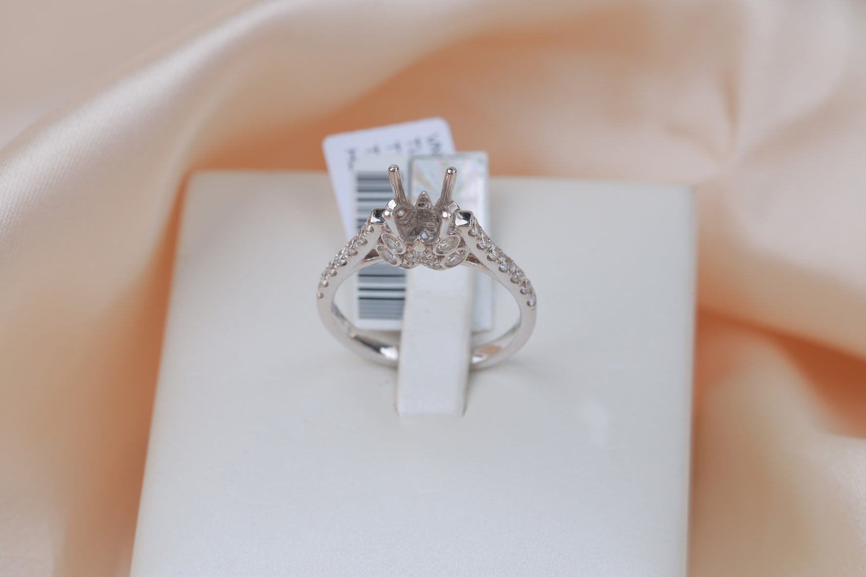 Vỏ Nhẫn Kim Cương B10580